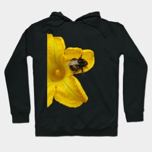 Bumble Bee on Yellow Flower Hoodie